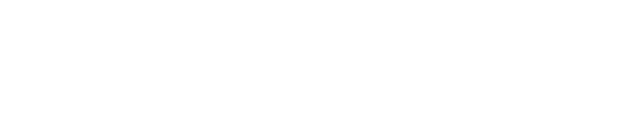 ExcellJets logo